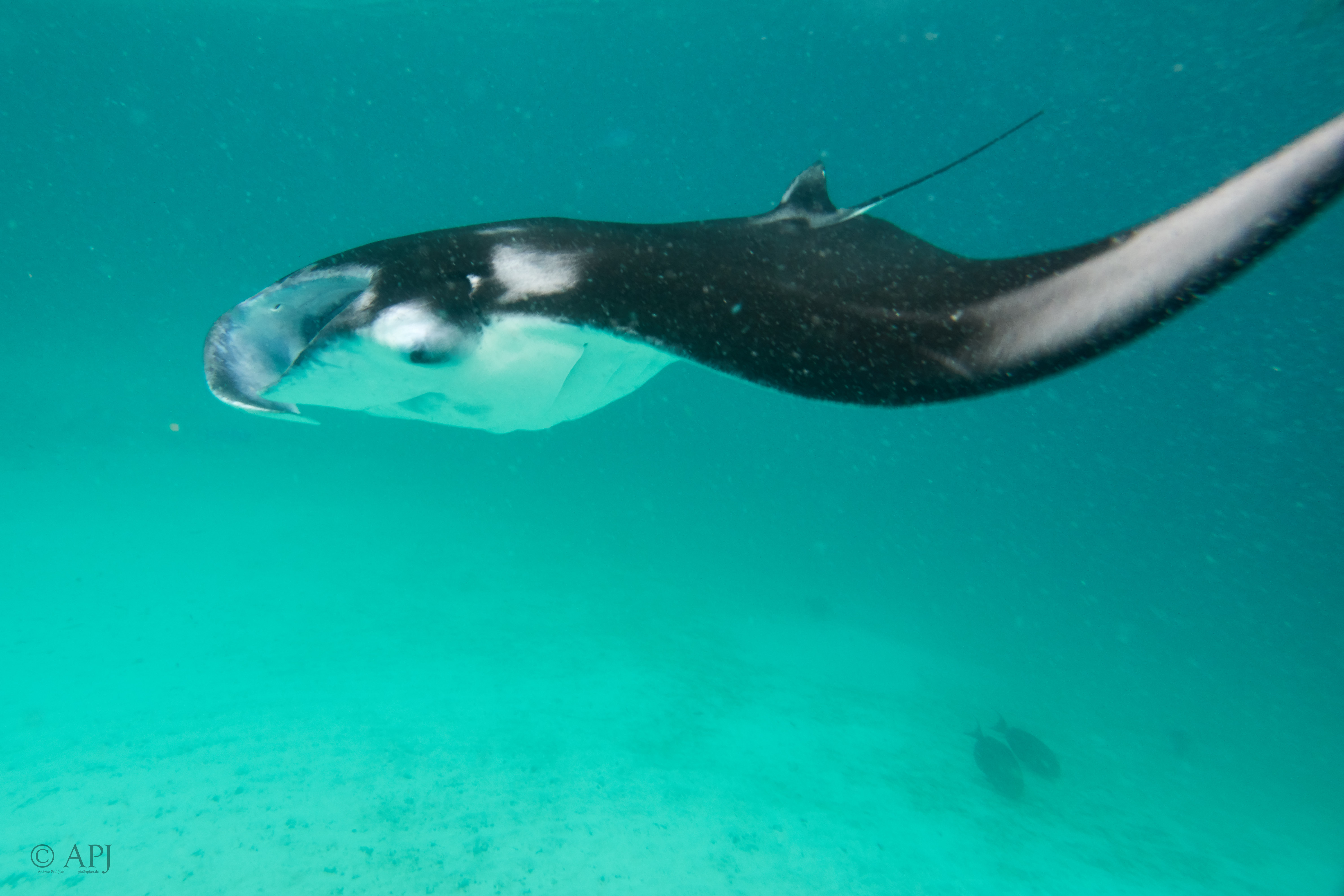 002587 17 08 17  Canon PowerShot G7 X Mark II   Malediven2017